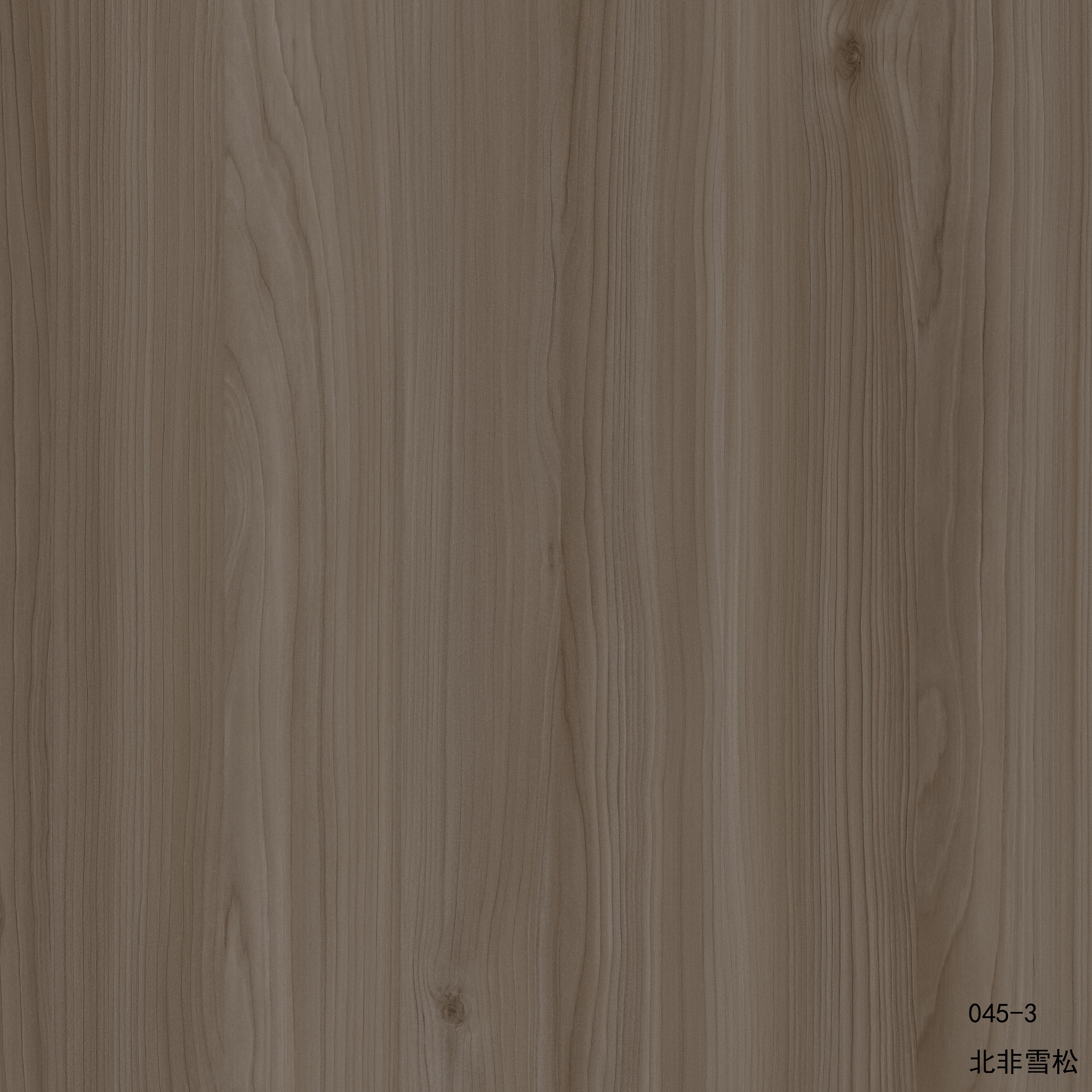 メラミン紙 Acme045