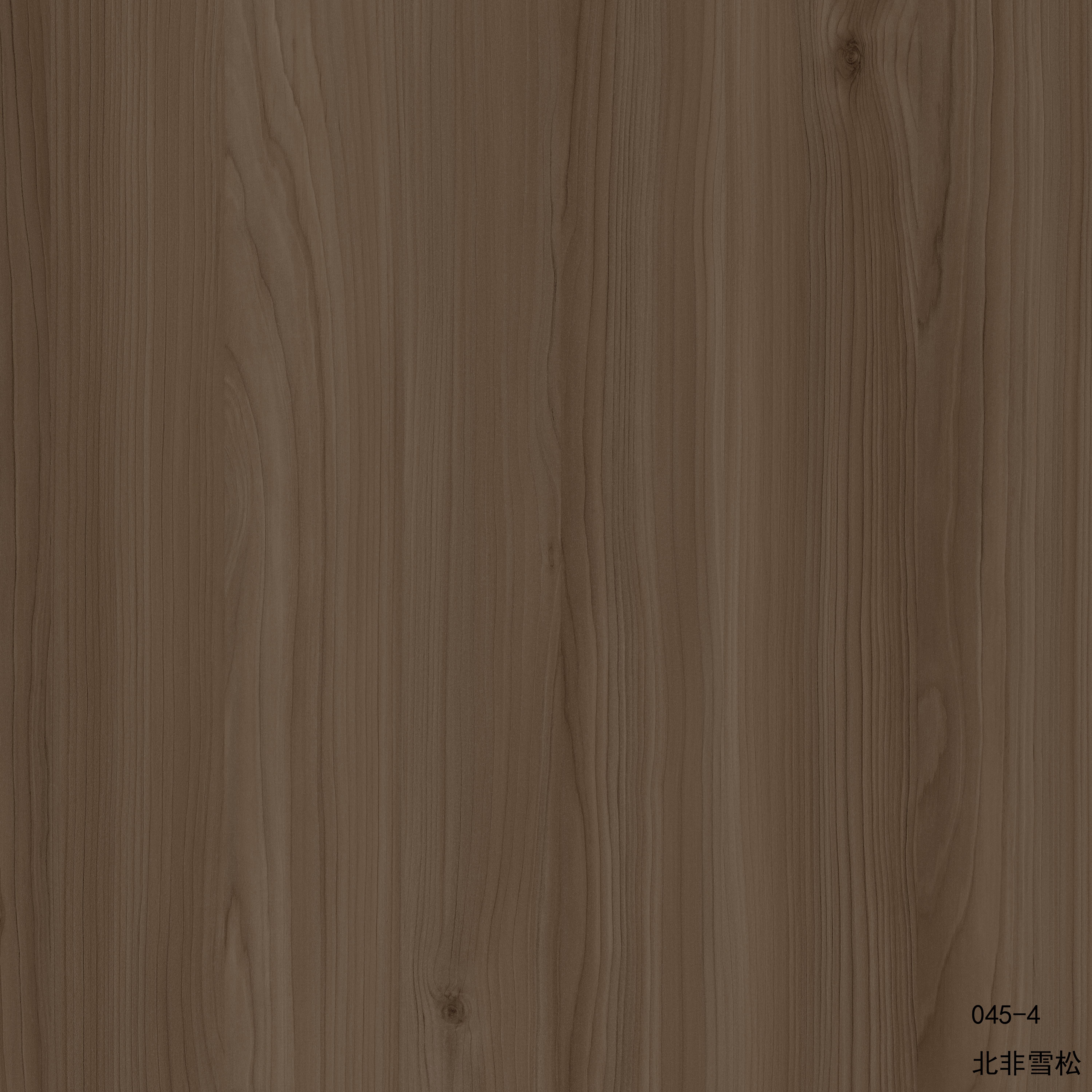 メラミン紙 Acme045