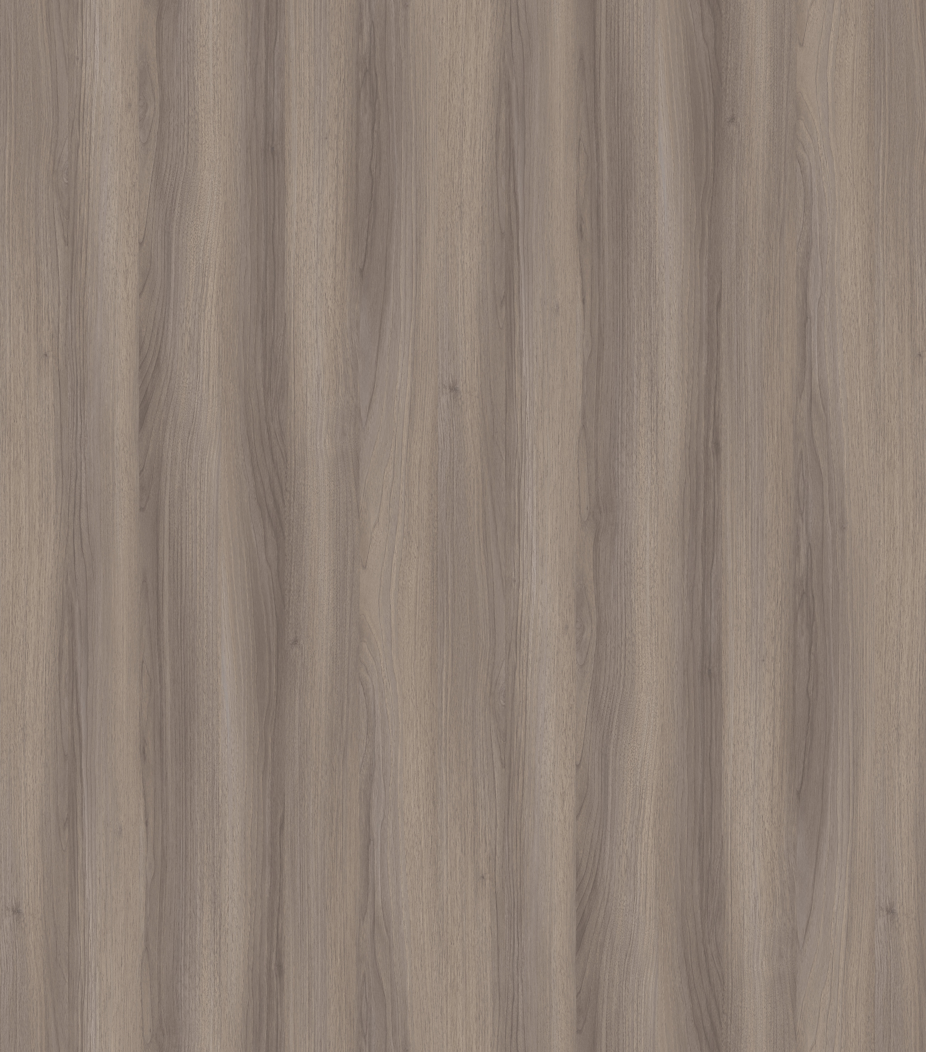 メラミン紙 Acme065