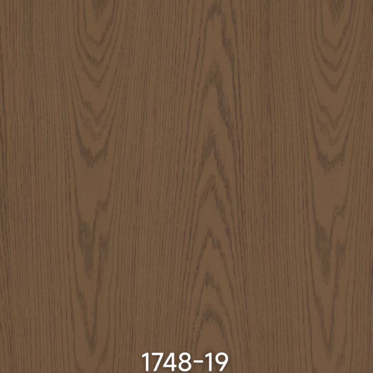 メラミン紙 1748-19