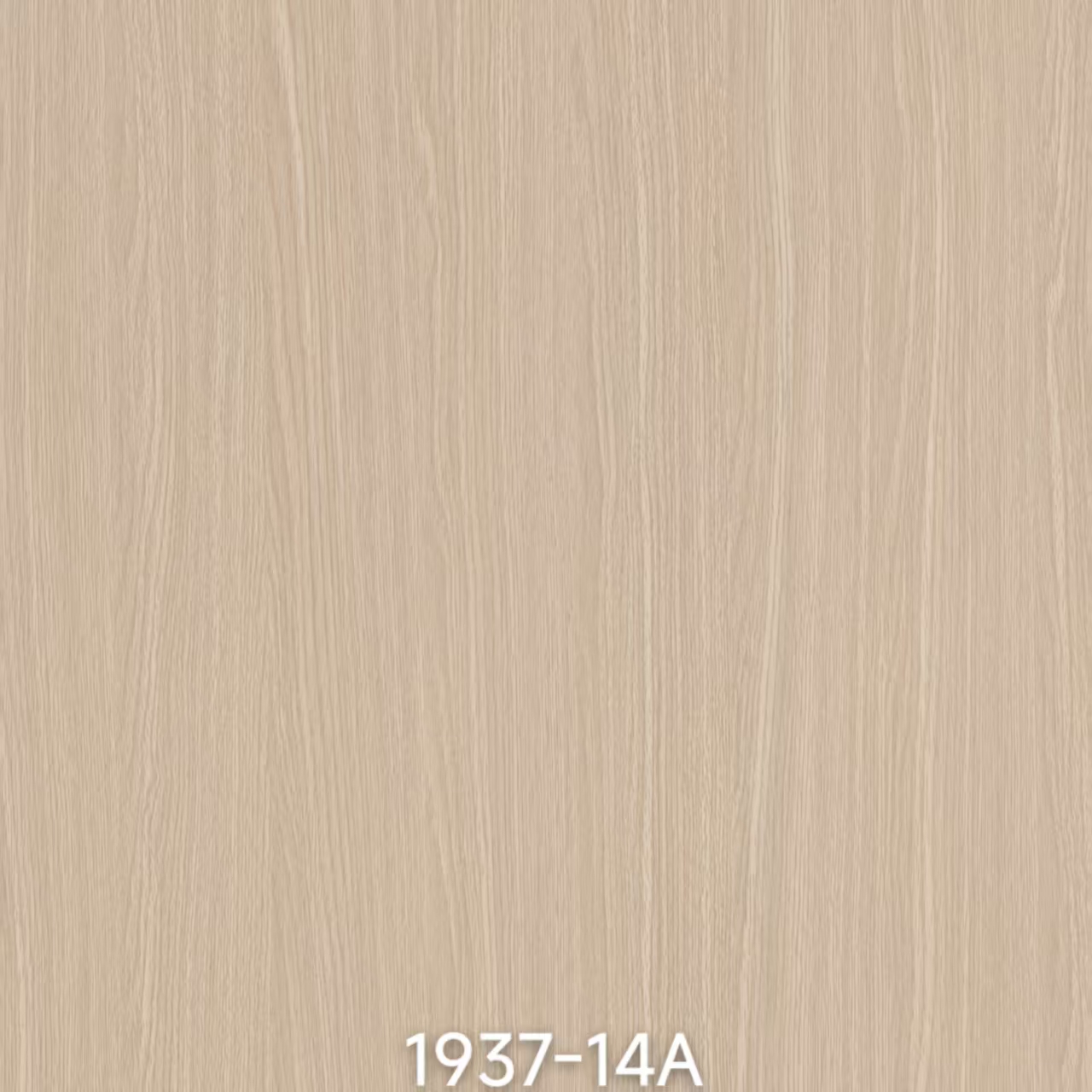 メラミン紙 1937-14A