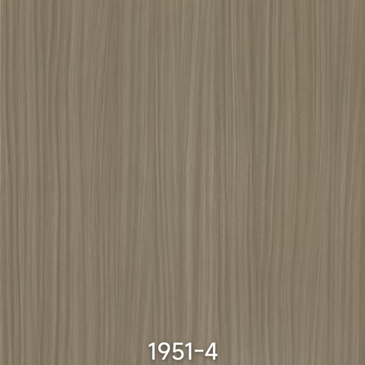 メラミン紙 1951-4