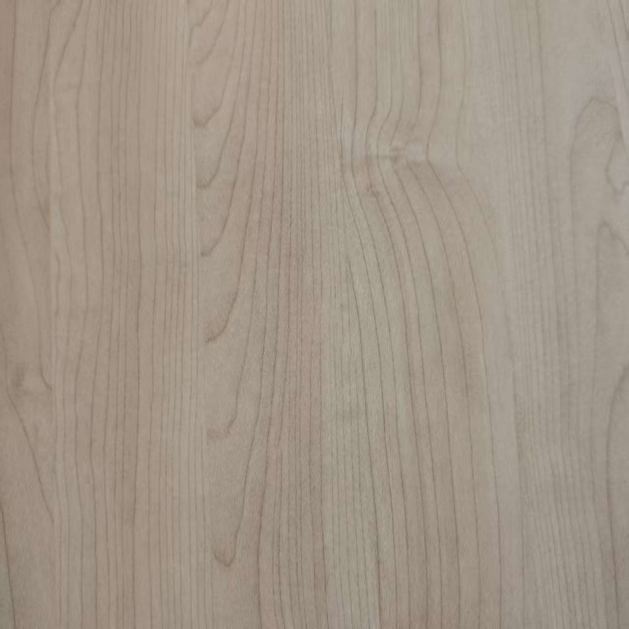 メラミン紙8031-10